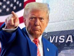 Ni Real ID, Ni visa, ni pasaporte: Estados Unidos permitirá ingresar al país legalmente a los extranjeros que consigan este documento