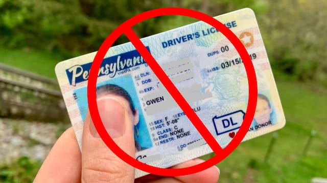 Fin de la licencia de conducir | Mayores de 65 años ya no podrán renovarla sin este trámite presencial