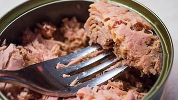 Advierten por alto contenido de mercurio en este famoso atún enlatado: exigen eliminarlo de inmediato de todas las comidas