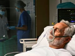 Alerta extrema en todo el país | Un parásito mortal ya se transformó en endemia y alarma a todos: cuáles son los síntomas y cómo prevenirlo