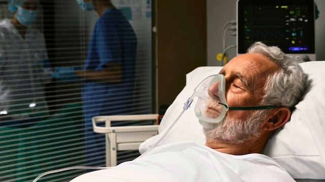 Alerta extrema en todo el país | Un parásito mortal ya se transformó en endemia y alarma a todos: cuáles son los síntomas y cómo prevenirlo