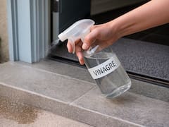 Aplicar vinagre en la entrada de una casa | Para qué se utiliza y por qué aconsejan realizarlo los especialistas