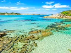 Este pueblito a 1 hora de Cádiz ofrece las playas más bellas del país | Es una puerta a la España del ayer y se pueden ver delfines y ballenas