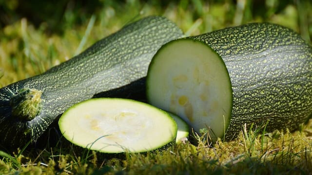 Receta de calabacines rellenos sencilla y veloz: riquísimos, para hacer en casa como las abuelas