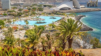 Escapada a un paraíso en todas las estaciones: ofrece las playas más asombrosas y es la ciudad más cálida para sobrellevar el invierno