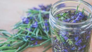 Remedios naturales para el resfriado: el ingrediente secreto que acelera la recuperación y alivia la tos de forma efectiva