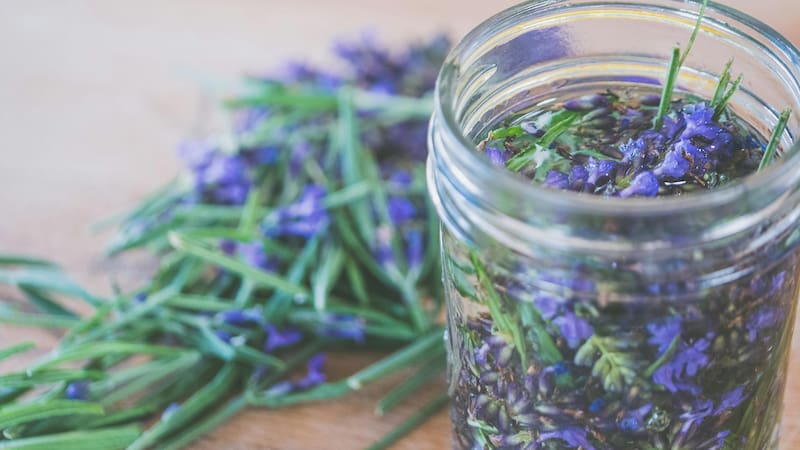 Remedios naturales para el resfriado: el ingrediente secreto que acelera la recuperación y alivia la tos de forma efectiva (Fuente: archivo).