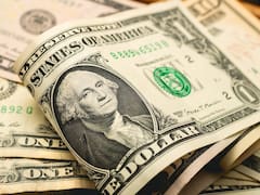 Peso mexicano y DÓLAR: a cuánto cotiza este viernes 29 de mayo en Estados Unidos