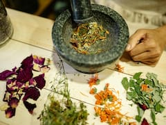 Las 3 plantas milagrosas que combaten las alergias y los remedios caseros que todos deberían conocer