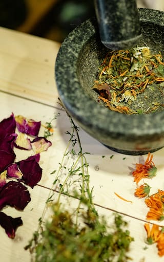 Las 3 plantas milagrosas que combaten las alergias y los remedios caseros que todos deberían conocer