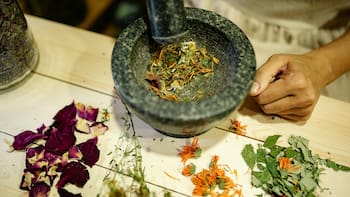 Las 3 plantas milagrosas que combaten las alergias y los remedios caseros que todos deberían conocer