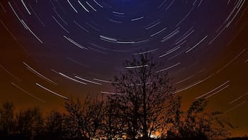 Horóscopo para Tauro: la predicción de los astros para este sábado 11 de abril