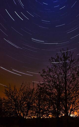 Horóscopo para Leo: la predicción de los astros para este domingo 8 de marzo