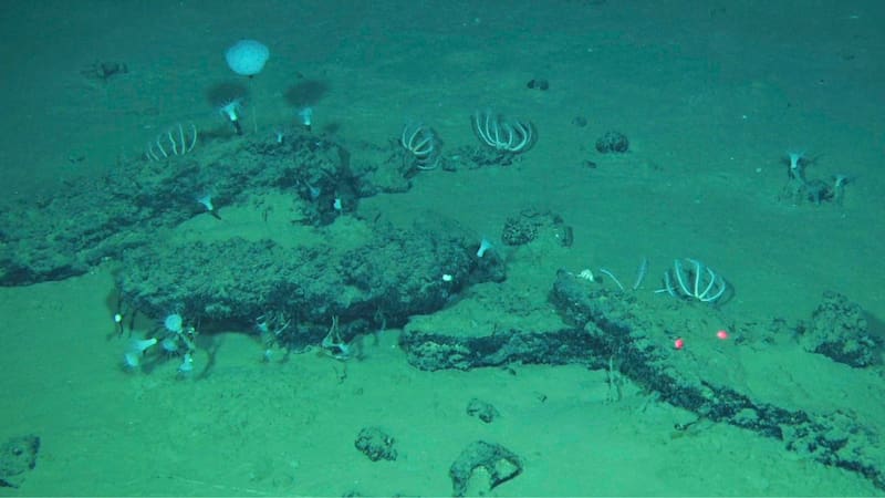 La necrópolis, que podría reunir hasta 10 millones de cadáveres, incluye restos tanto modernos como antiguos, con fósiles de 5,3 millones de años, se extiende por unos 1.200 kilómetros del fondo marino.