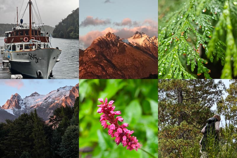 Imágenes tomadas en un Motorola Signature. (El Cronista)