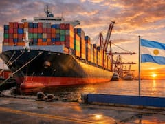 “Importar ya no es una mala palabra”: el plan oficial para bajar el déficit millonario con China