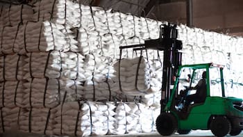 México puso freno de mano al flujo de azúcar importada: Secretaría de Economía dio prórroga a ciertas preparaciones hasta noviembre