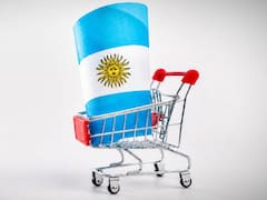 Bimestre de oro: cómo será la venta de empresas públicas y quién tiene la plata para comprarlas