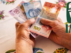 El IMSS lanzó el Tarjetón Digital para los pensionados y trabajadores de todo el país: ahora podrán hacer trámites sin filas de espera