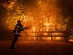 Incendios forestales en España y Francia: con más de 300.000 evacuados, cómo siguen los operativos contra el fuego