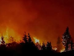 Sin plata y con menos brazos: Chubut denuncia recorte de fondos y “fuga” de brigadistas