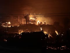 Incendios forestales en Chile: hay 16 muertos y 50.000 evacuados