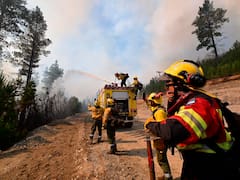 Incendios en la Patagonia: las claves del nuevo DNU de Milei, qué cambia y qué deja sin resolver