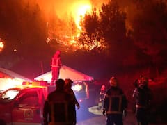 Fuego en la Patagonia: la OEA acusa falta de recursos y un problema más allá del clima