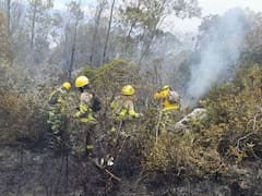 Incendio en Villa de Leyva alcanzó el 90 % de control: más de 700 hectáreas del Santuario de Iguaque resultaron afectadas