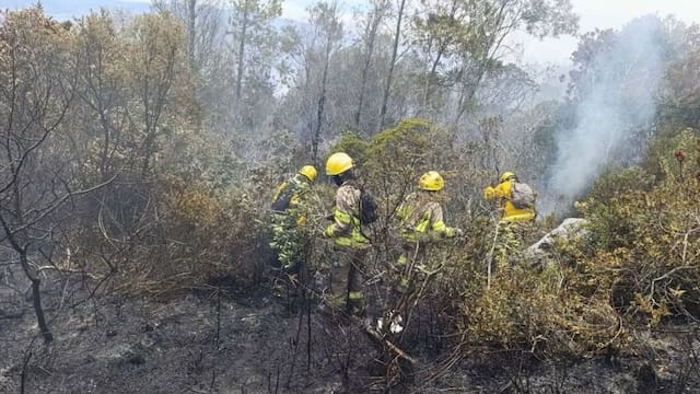 Incendio en Villa de Leyva alcanzó el 90 % de control: más de 700 hectáreas del Santuario de Iguaque resultaron afectadas
