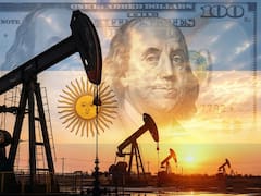 Para el Citi, “el mercado sobreestima el riesgo de un cambio de política en la Argentina”