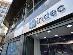 Ruido estadístico: las objeciones al INDEC en la era Milei