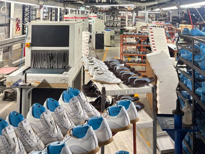 La inversión en tecnología y maquinaria impulsa la productividad y fortalece la capacidad exportadora.
