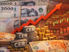 Los inversores rotan hacia activos CER: cuáles son las estrategias en pesos de los fondos de inversión