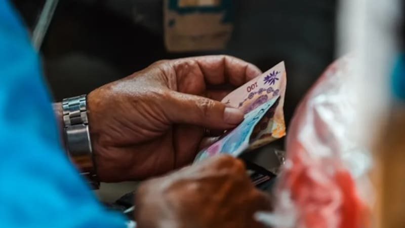 Imagen de una persona contando pesos. EFE/Juan Ignacio Roncoroni