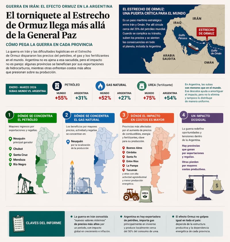 Infografia generada con IA en base al informe del IERAL.