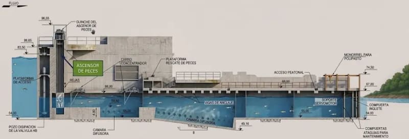 La innovadora infraestructura destinada a preservar las migraciones de especies.