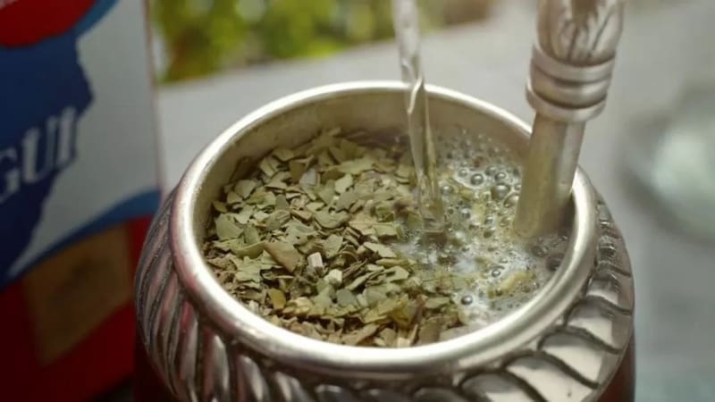El yuyo perfecto para el mate: no genera acidez y mejora la digestión (foto: archivo).