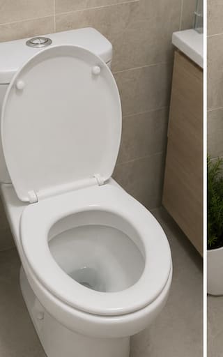 Dejar la tapa del inodoro abierta o cerrada al descargar: cuál es la forma correcta y por qué recomiendan hacerlo siempre igual