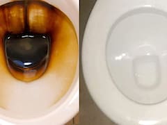 Cómo eliminar para siempre el sarro del inodoro con un sólo ingrediente: borra todas las manchas amarillas y queda como nuevo