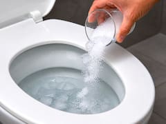 Tirar sal y llenar de cubos de hielo el inodoro: para qué sirve y por qué lo recomiendan