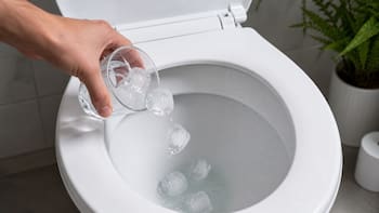 Para qué sirve tirar hielo en el inodoro y por qué lo recomiendan