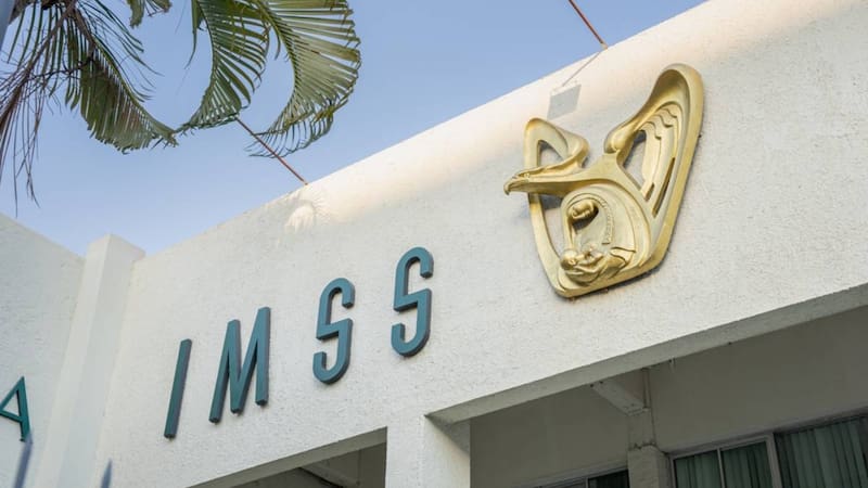IMSS, Guadalajara, Jalisco.
