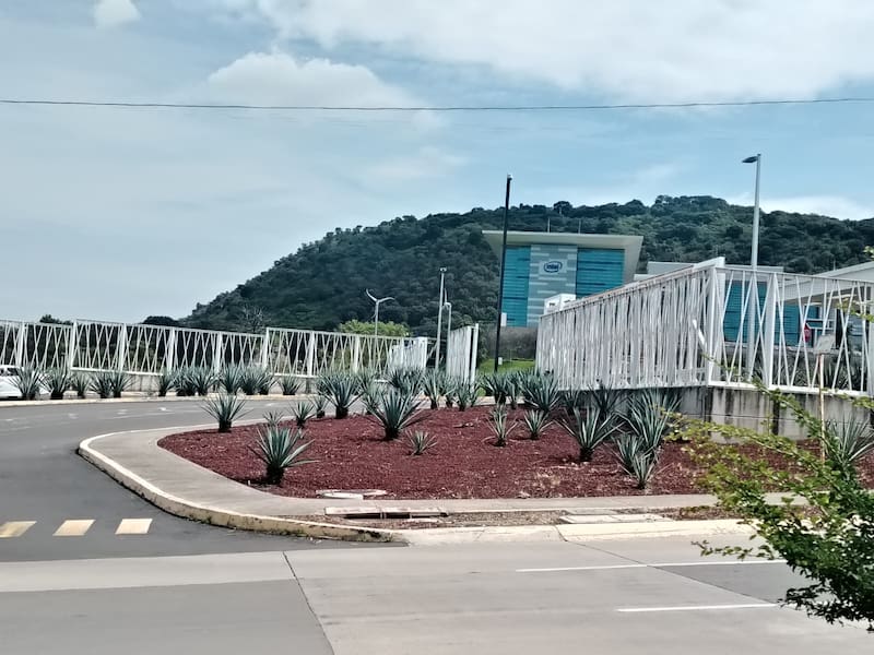 Intel Jalisco