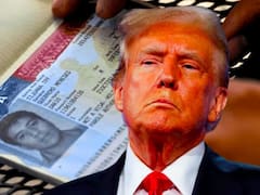 Vuelos liberados: buscan levantar la prohibición nacional y ahora las personas de todos estos países podrían recibir la visa americana