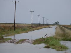 Inundaciones en Buenos Aires: la medida de alivio a los campos de un grupo de municipios, ¿a quiénes alcanza?