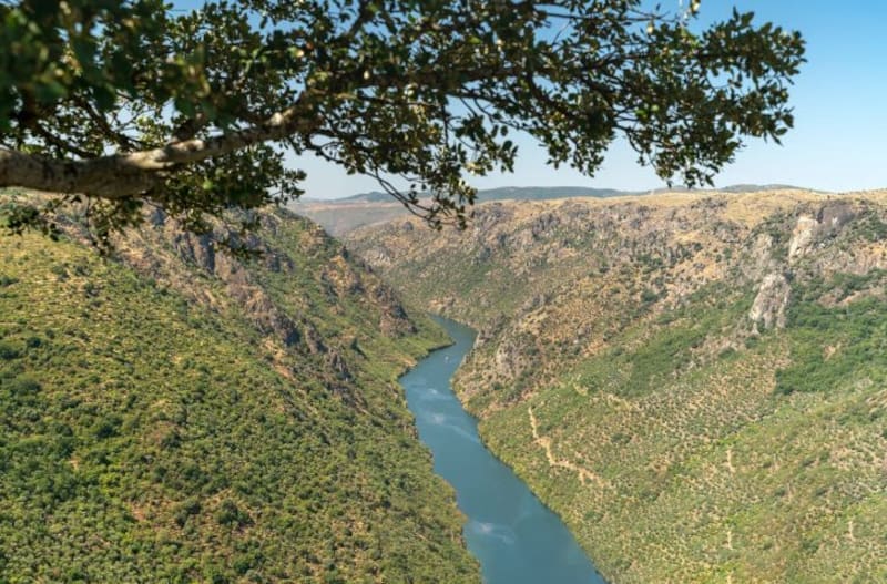Un grupo de estadounidenses adquirió un pueblo deshabitado en Zamora y buscan transformarlo en un destino de turismo internacional (foto: Pexels).