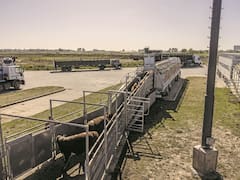 También agroganaderas salen a ganar el mercado de financiamiento corporativo