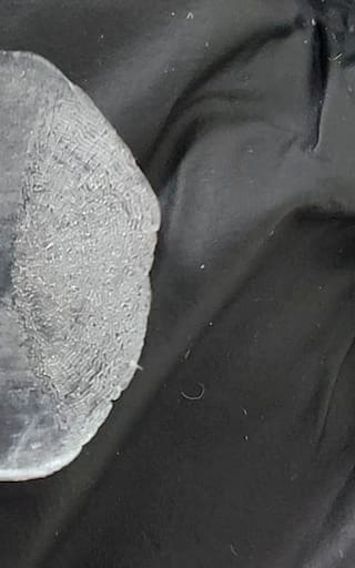 Las escamas de este pescado podrían utilizarse para crear implantes de hueso: el sorprendente hallazgo de científicos colombianos