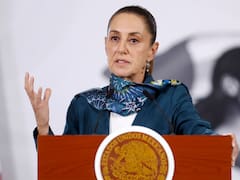 Claudia Sheinbaum ordena la nacionalización de terrenos para el Tren Maya: estos propietarios recibirán indemnización